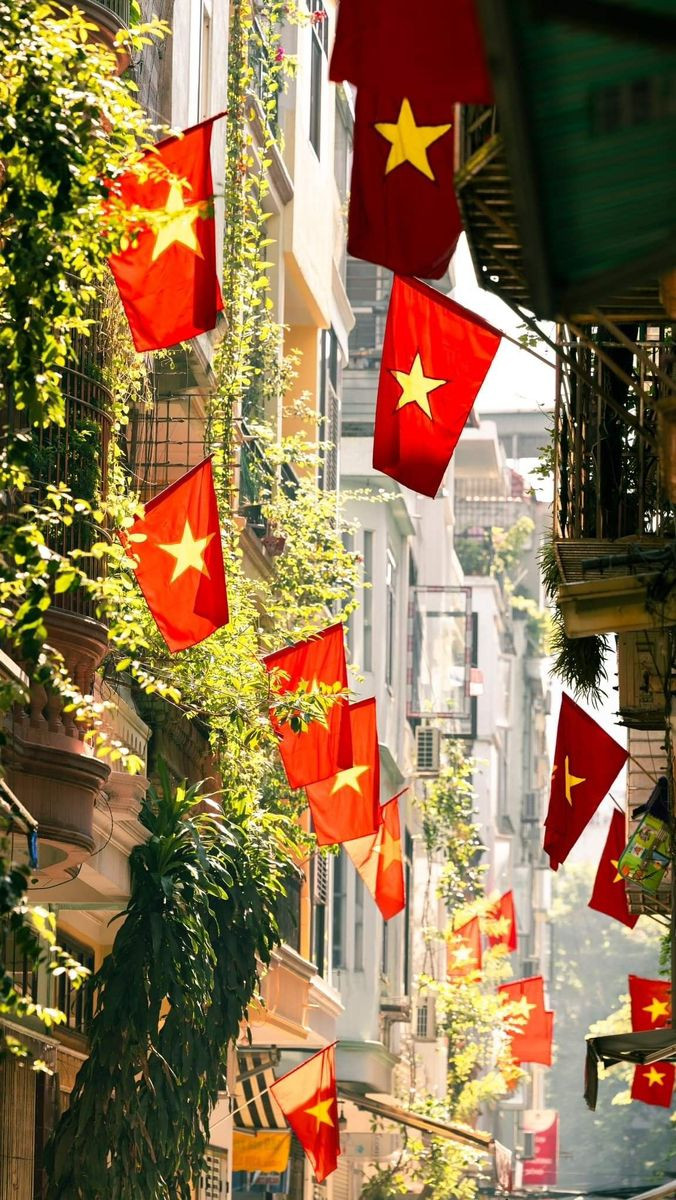 Hình ảnh 1